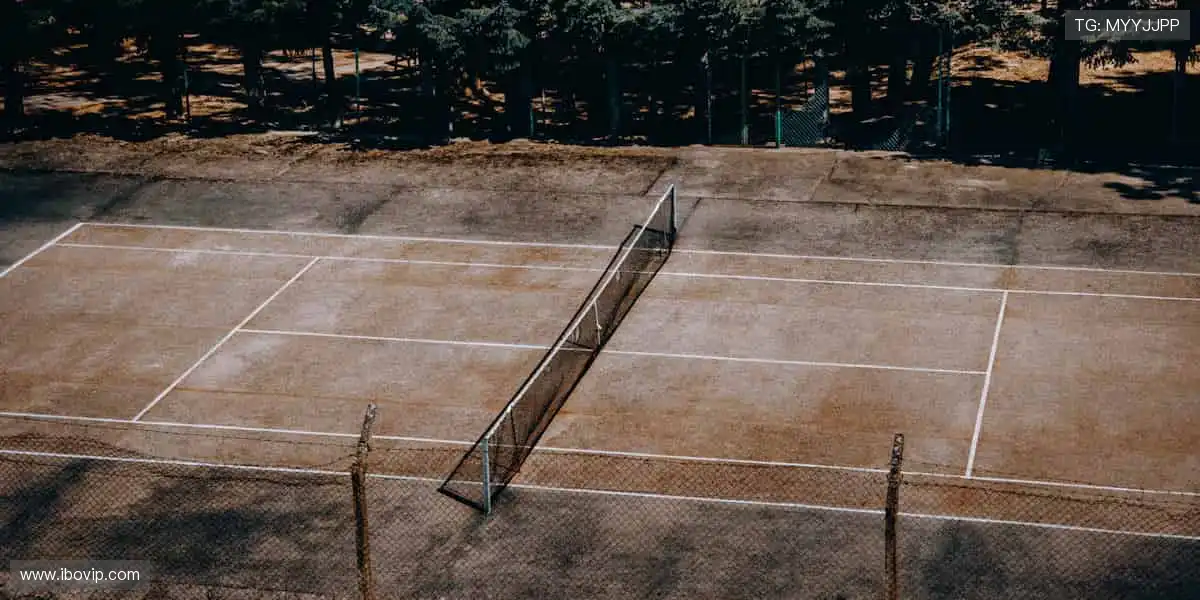 🏀 一键解锁高清赛事，与全球球迷同频狂欢！🎉